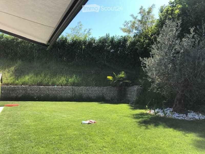 Well-maintained garden with a neatly trimmed lawn, a stone wall, and various trees and shrubs, including an olive tree. The area is bright and sunny with a clear blue sky.