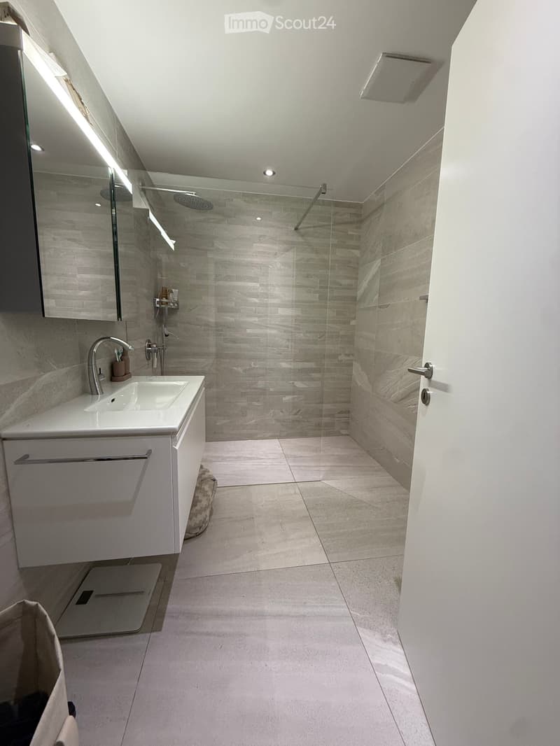 Modern bathroom with a white sink, chrome faucet, large mirror, and a glass-enclosed shower area with a modern showerhead.