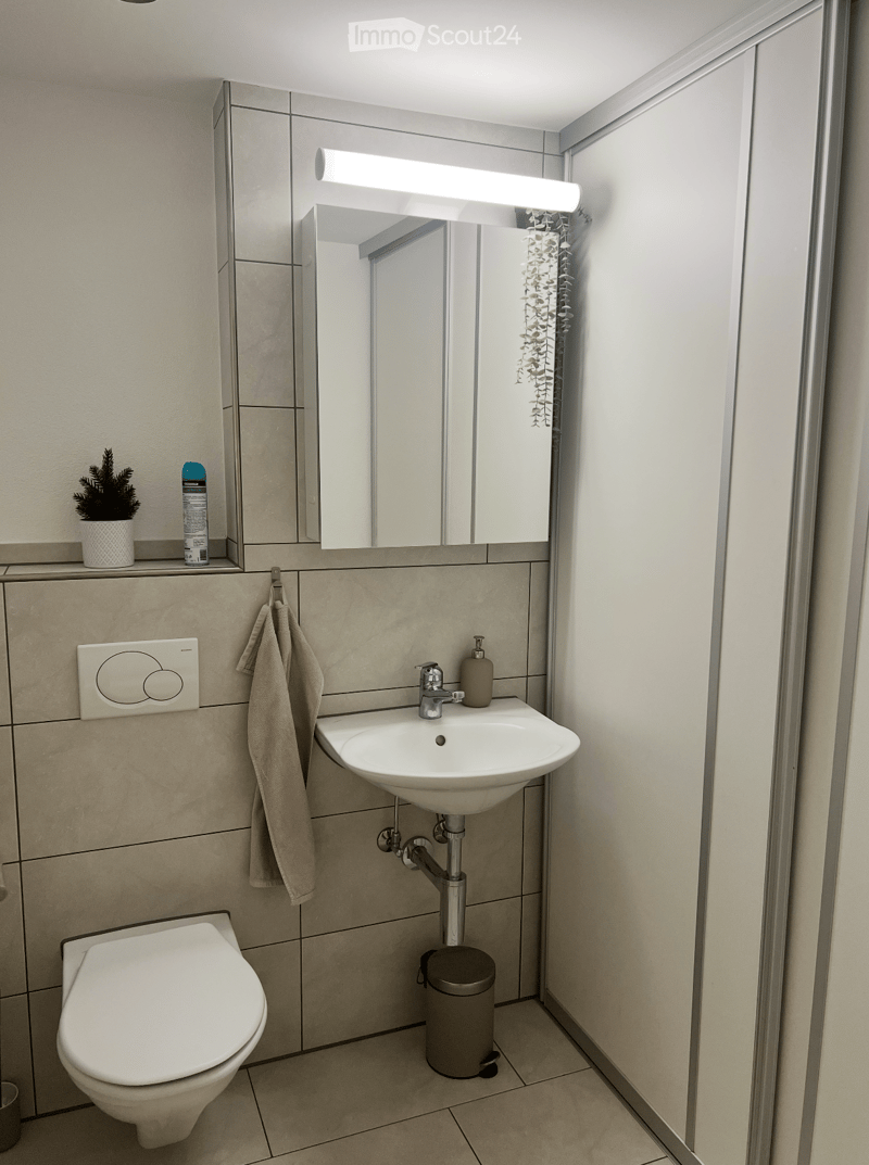 Modern bathroom with a white sink, chrome faucet, toilet, large mirror with built-in lighting, towel, trash bin, soap dispenser, and small plant on the counter.