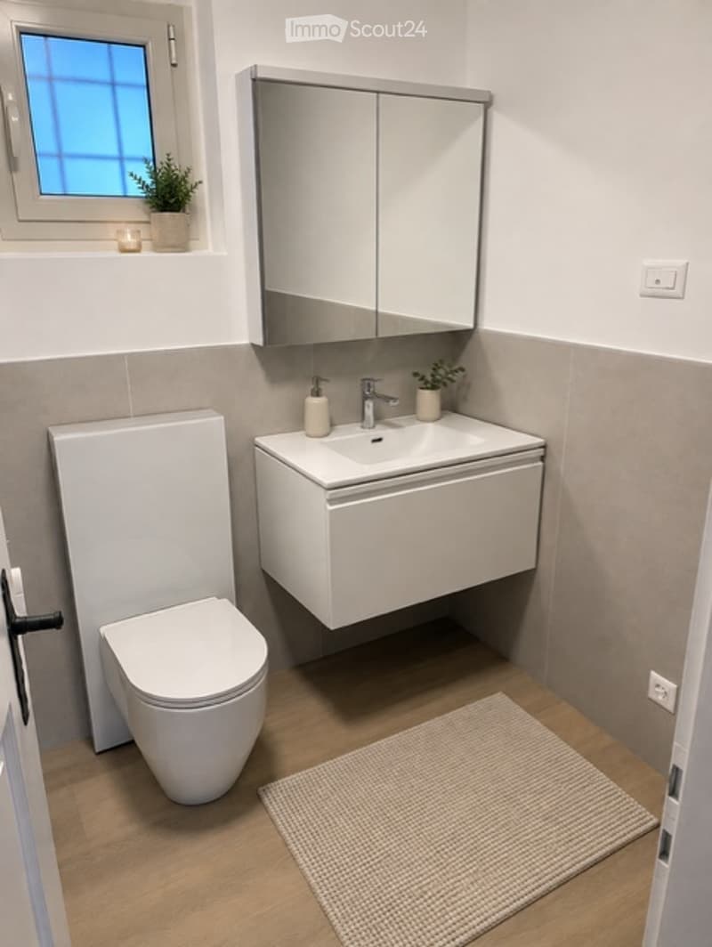 Modern bathroom with white toilet, sink, and mirror cabinet, small potted plants, and a beige rug on the wooden floor.