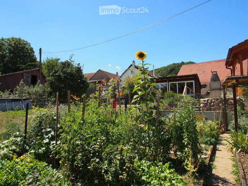 A well-maintained garden with various plants, flowers, and vegetables, including a tall sunflower, surrounded by wooden fences and neighboring houses.