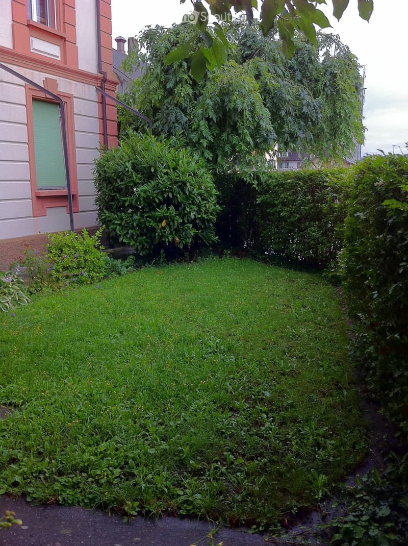 Garden area with green grass, bushes, and trees, adjacent to a house with a green door and red trim.