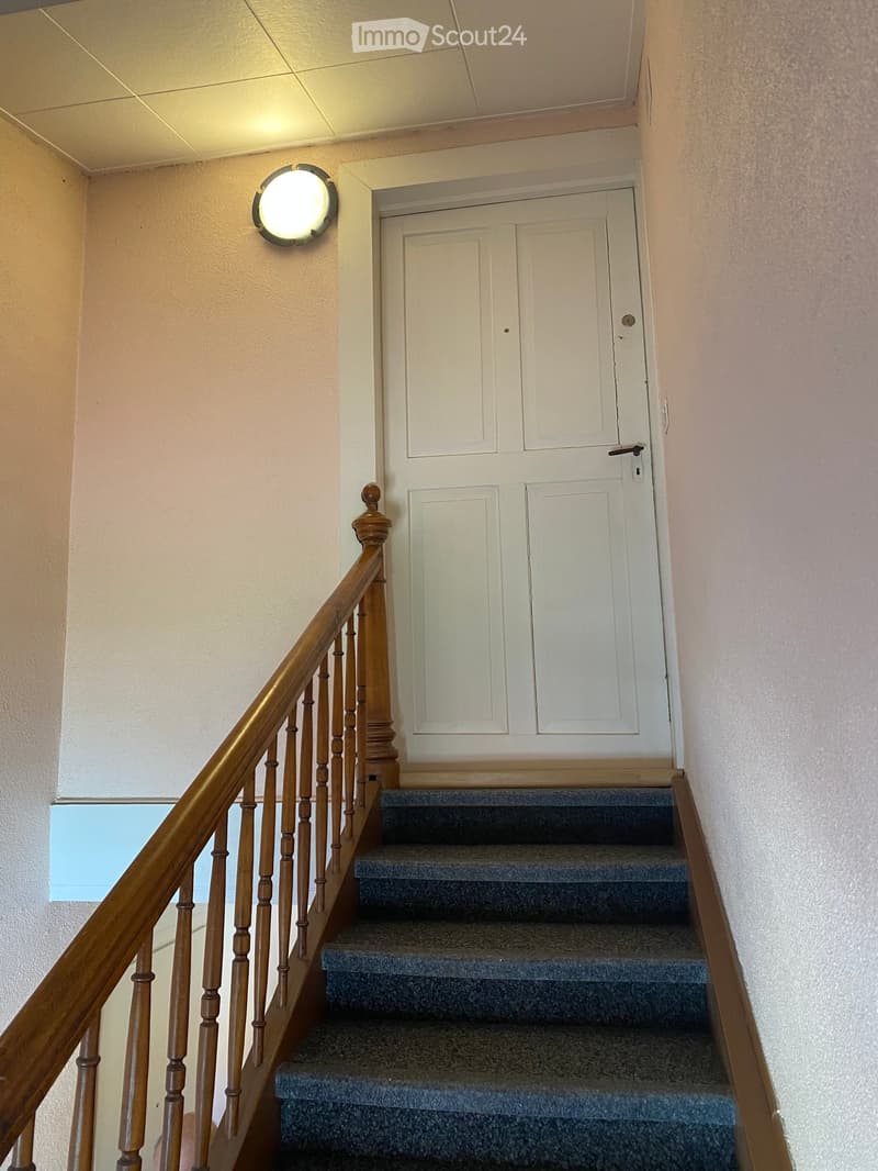 Staircase with wooden handrail and blue carpeted steps, leading to a white door at the top.