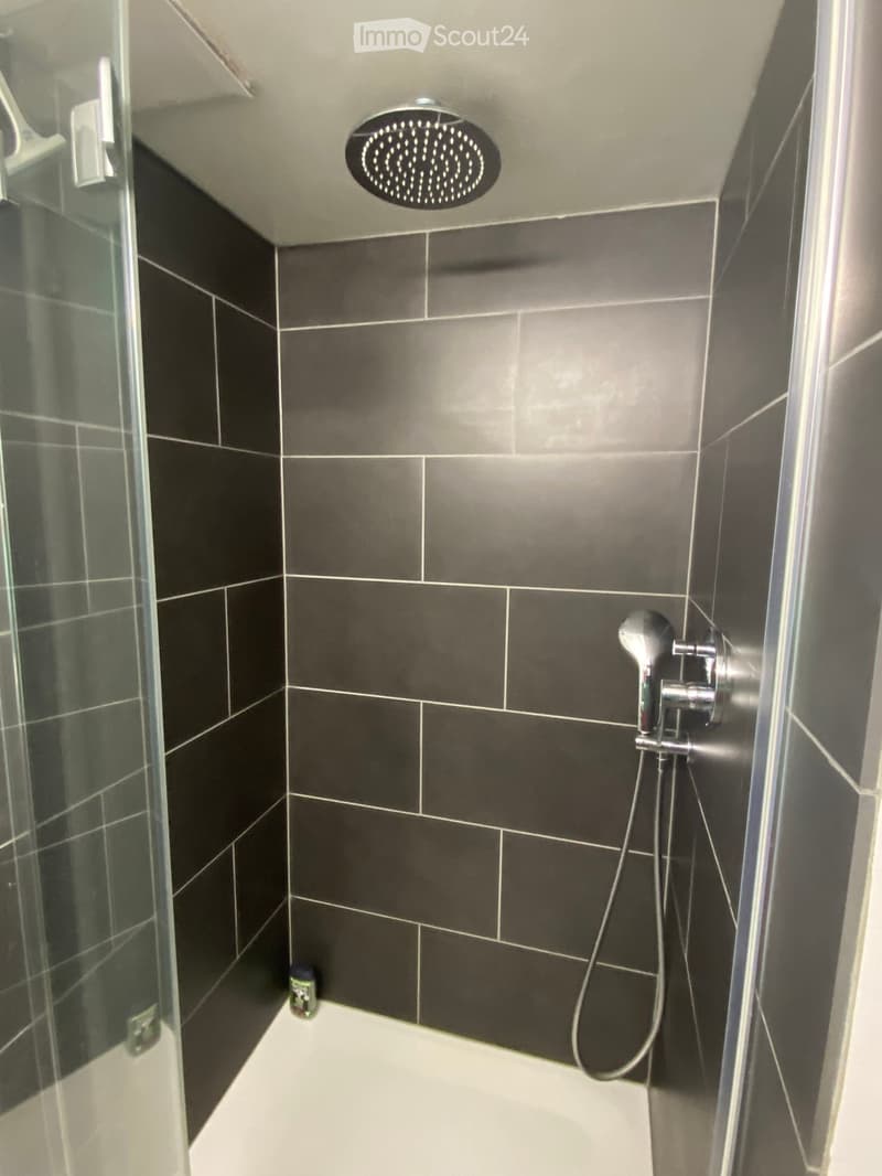 Modern shower area with dark grey tiles, a glass enclosure, a round showerhead, and a handheld shower hose with a control valve.