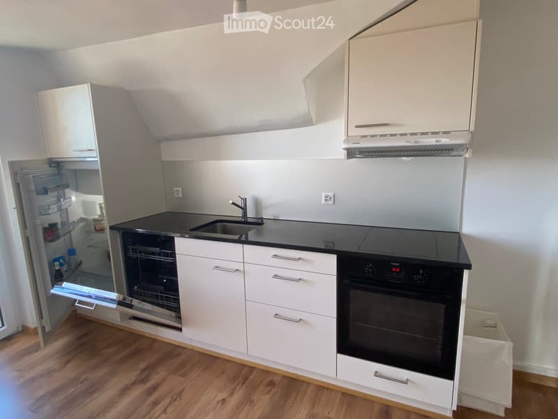 Modern kitchen with white cabinets, black countertops, stainless steel appliances, and wooden flooring.