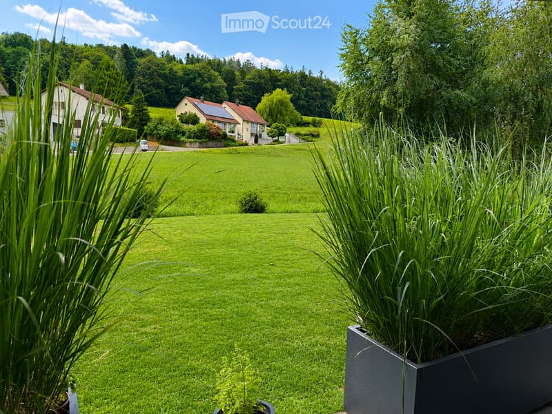 A well-maintained green lawn with tall grass and modern planters, surrounded by trees and houses in the background.