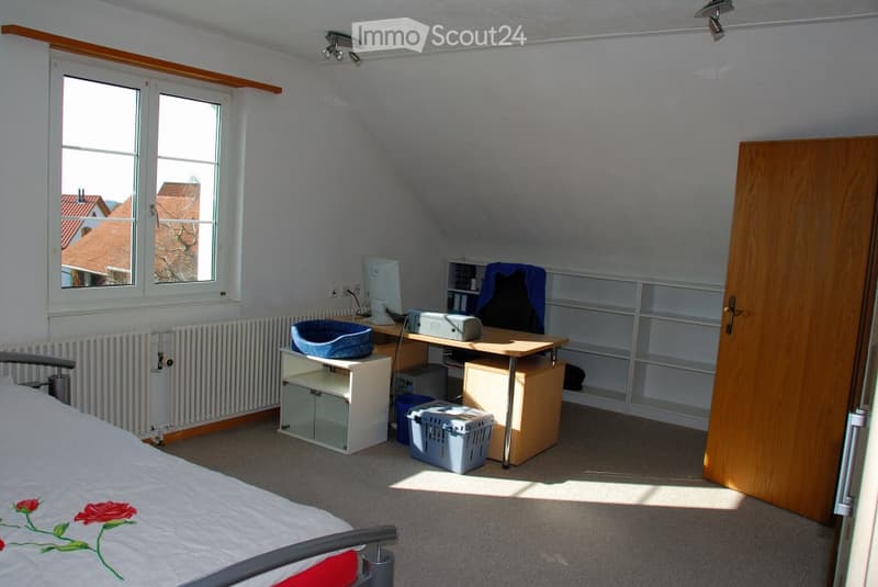 A furnished room with a bed, desk, chair, computer monitor, shelf, radiator, storage box, and a cat bed. The room has large windows and a slanted ceiling typical of an attic space.