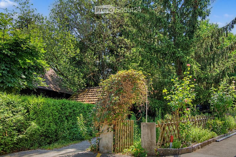 A lush garden area with a wooden fence, overgrown vegetation, and a small wooden structure partially covered by plants.