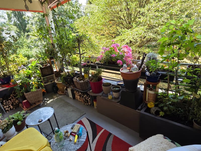 A well-maintained balcony or terrace filled with various potted plants, small tables, and a cozy seating area. The space features a mix of greenery, colorful flowers, and decorative items, creating a serene outdoor retreat.
