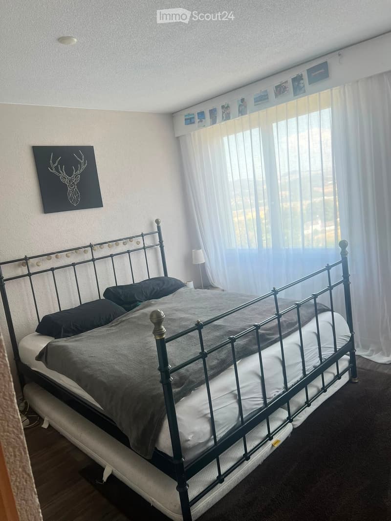 A well-lit bedroom with a metal-framed bed, dark bedding, a bedside lamp, and a large window with sheer curtains. A decorative painting of a deer is on the wall.