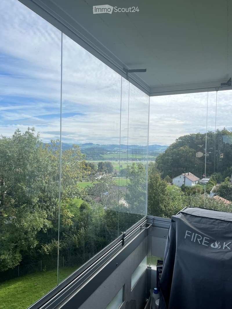 large glass windows, metal railings, view of a grassy field and mountains in the distance