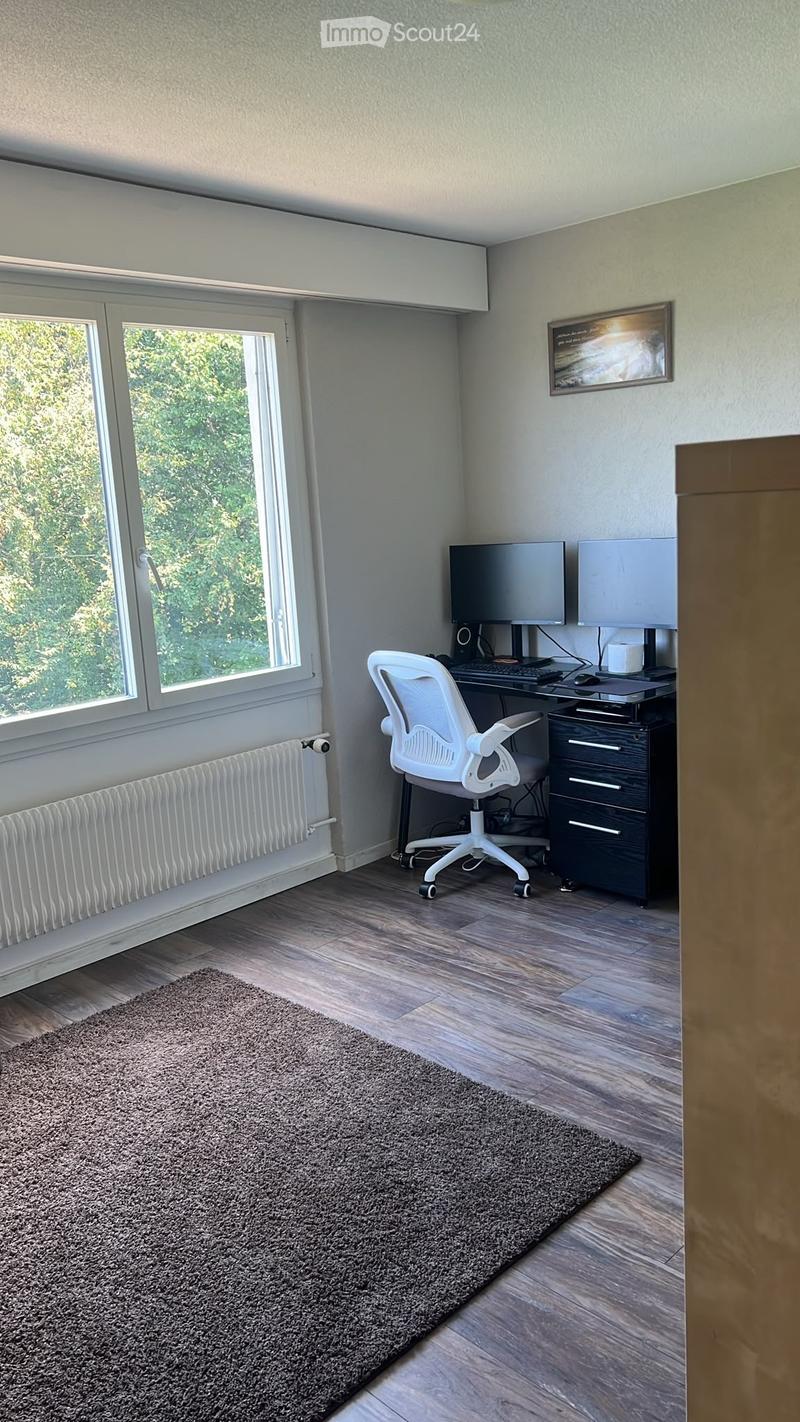 Modern office space with a white ergonomic chair, black desk, dual monitors, keyboard, mouse, and a small cabinet. The room features wooden flooring, a gray carpet, and large windows with a view of greenery.