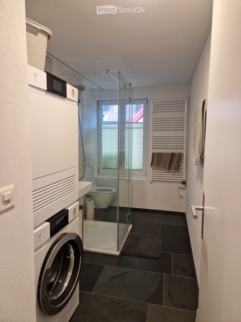 Modern bathroom with a washing machine, toilet, glass-enclosed shower, towel rack, and radiator.