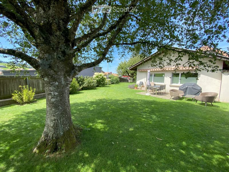 Lush green lawn with a large tree, patio furniture, and a house in the background.