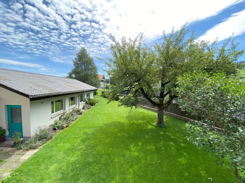 Well-maintained garden with a neatly trimmed lawn, a large tree, and a small house with a grey roof and teal door visible in the background.
