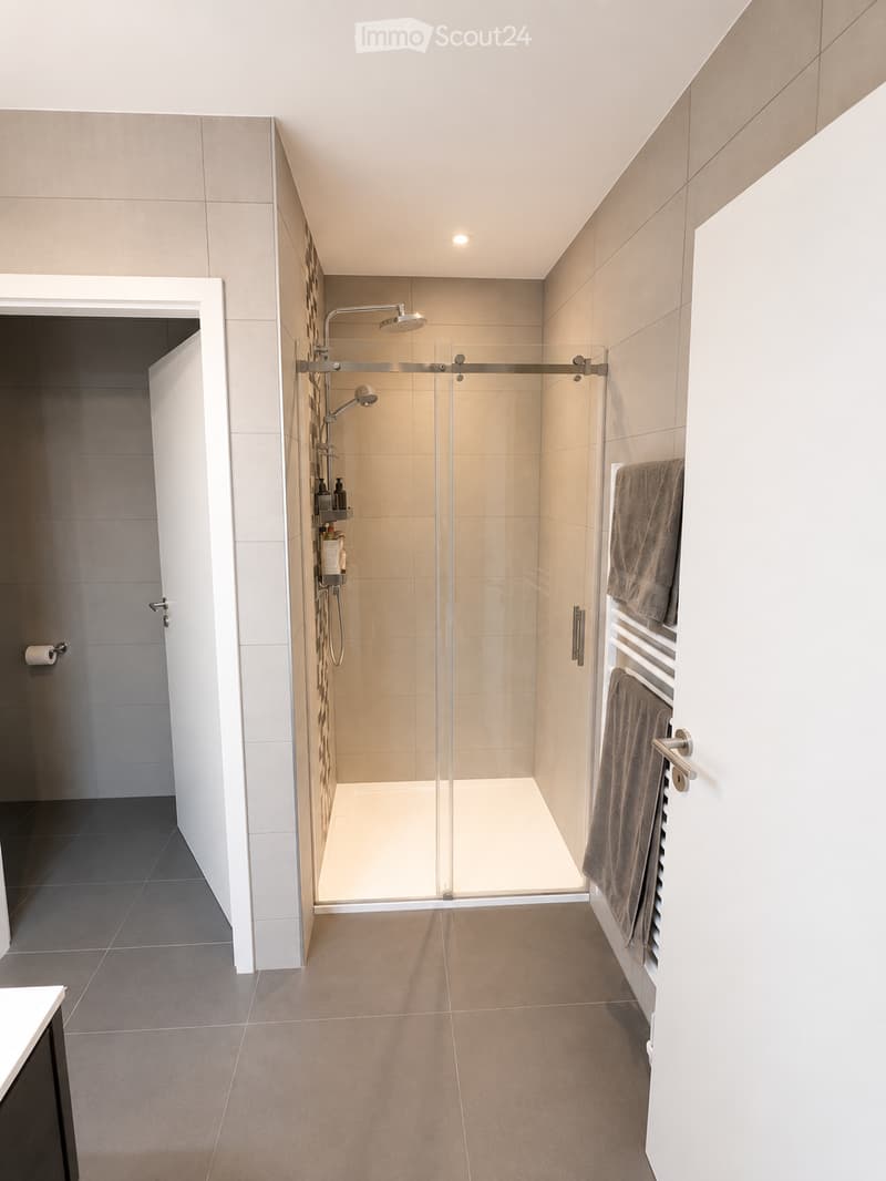 Modern bathroom with a glass-enclosed shower, towel rack, and toilet paper holder. The shower features a handheld sprayer and a fixed overhead showerhead.