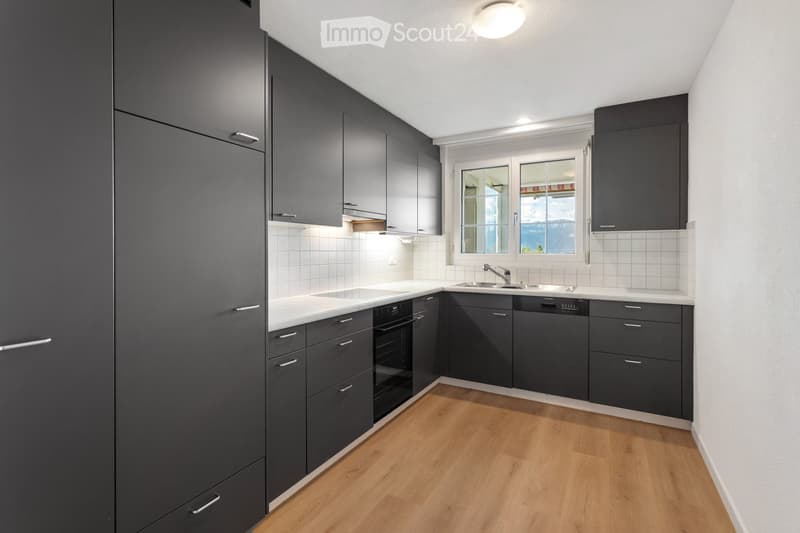 Modern kitchen with dark grey cabinets, white countertops, wooden flooring, and stainless steel appliances including a sink, oven, and dishwasher.