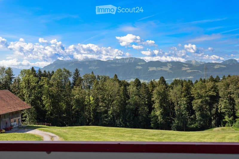A scenic outdoor view featuring a grassy field, dense forest, and distant mountain range under a clear blue sky.