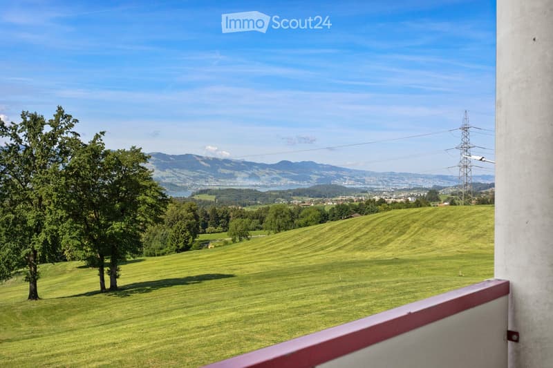 View from a balcony showing a green field, trees, and distant mountains under a clear blue sky.