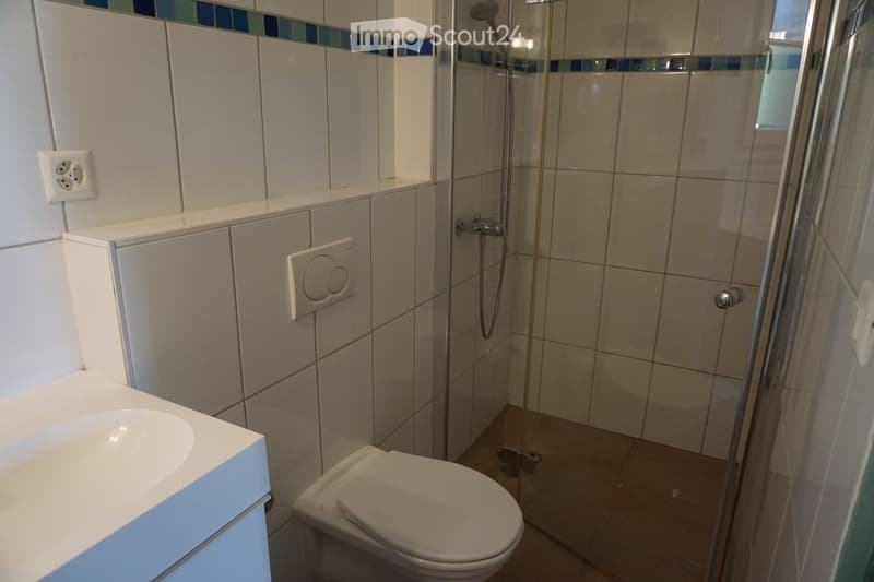 Modern bathroom with white tiles, a glass-enclosed shower, a toilet, and a sink with a mirror above it.