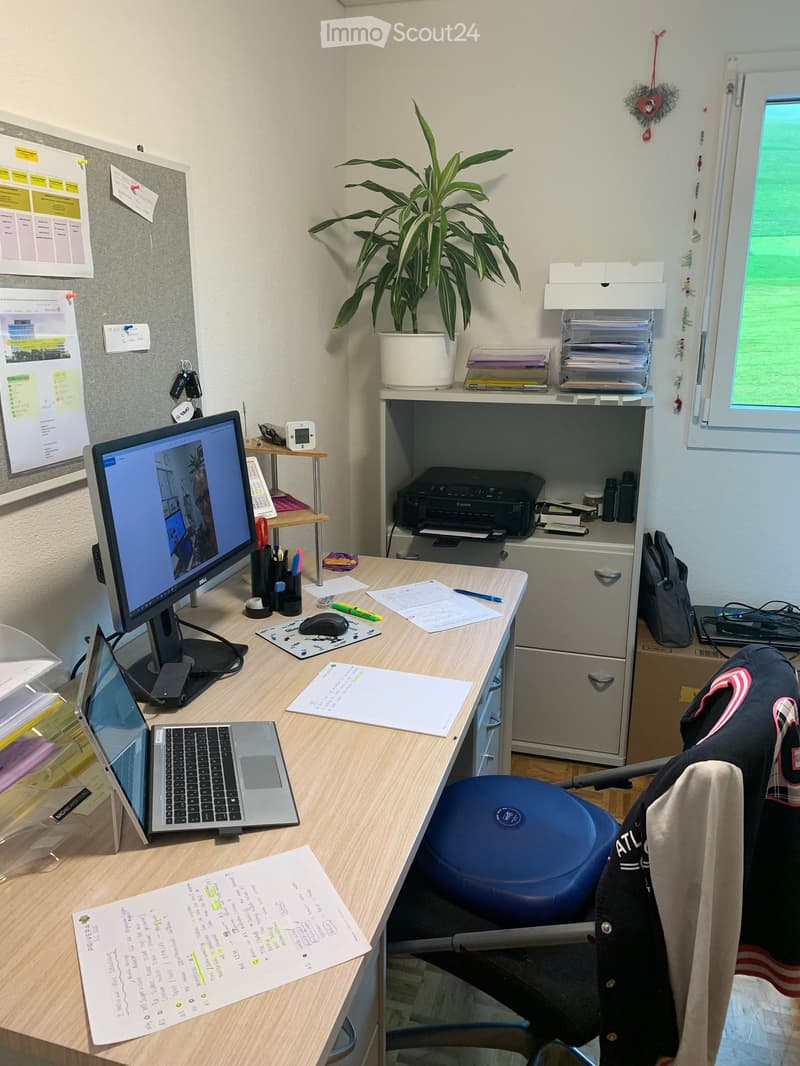 Wood desk, monitors, chair, cabinet, shelves, plant, papers, books, laptop, printer, clock, pen, notepad, marker, mouse, notebook, pens, glasses, scissors, tape
