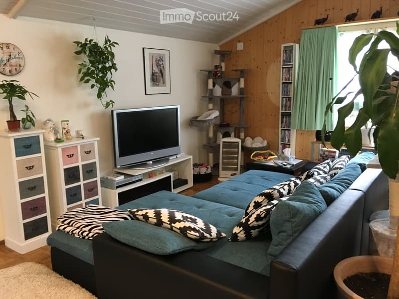 A modern interior with a flat screen TV on a white shelf, a comfortable black sofa, a large potted plant, a wooden floor and wooden walls