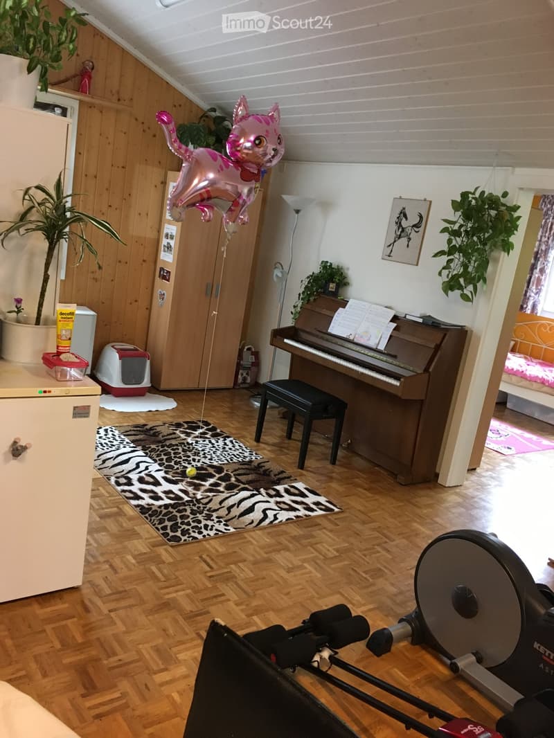 wood floor, couch, carpet, wooden cabinet, cat toy, exercise bike, plant, desk, piano, cat litter box, lamp