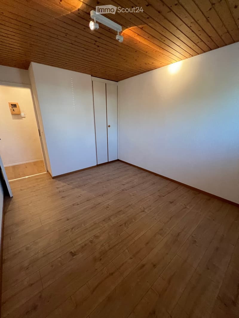 Empty room with wooden flooring, white walls, and a slanted wooden ceiling. Features a white closet and a small framed picture on the wall.