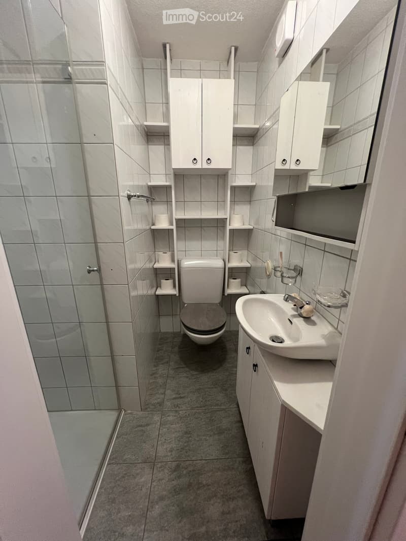 Modern bathroom with white tiles, a toilet, a sink with a mirror, and built-in cabinets. Toilet paper is placed on shelves next to the toilet.