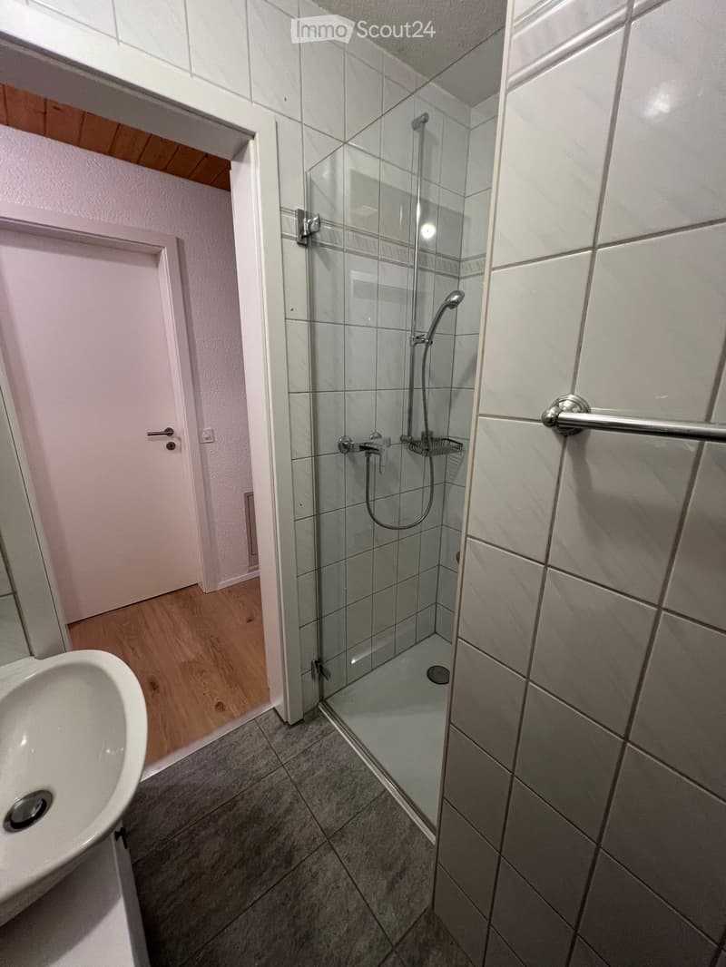 Modern bathroom with a white sink, glass-enclosed shower, and tiled walls.