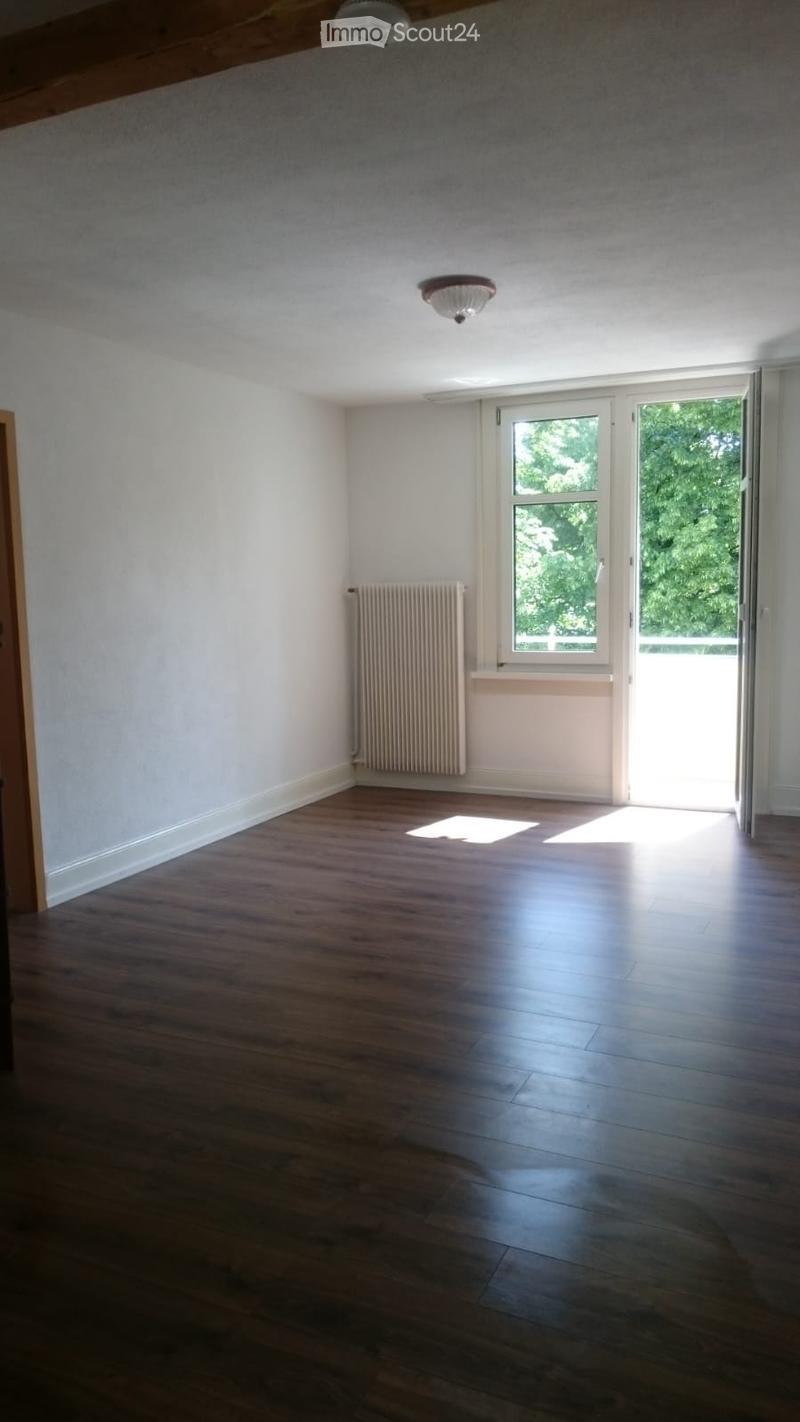 Empty room with wooden flooring, white walls, a radiator, and a large window with a view of greenery outside.