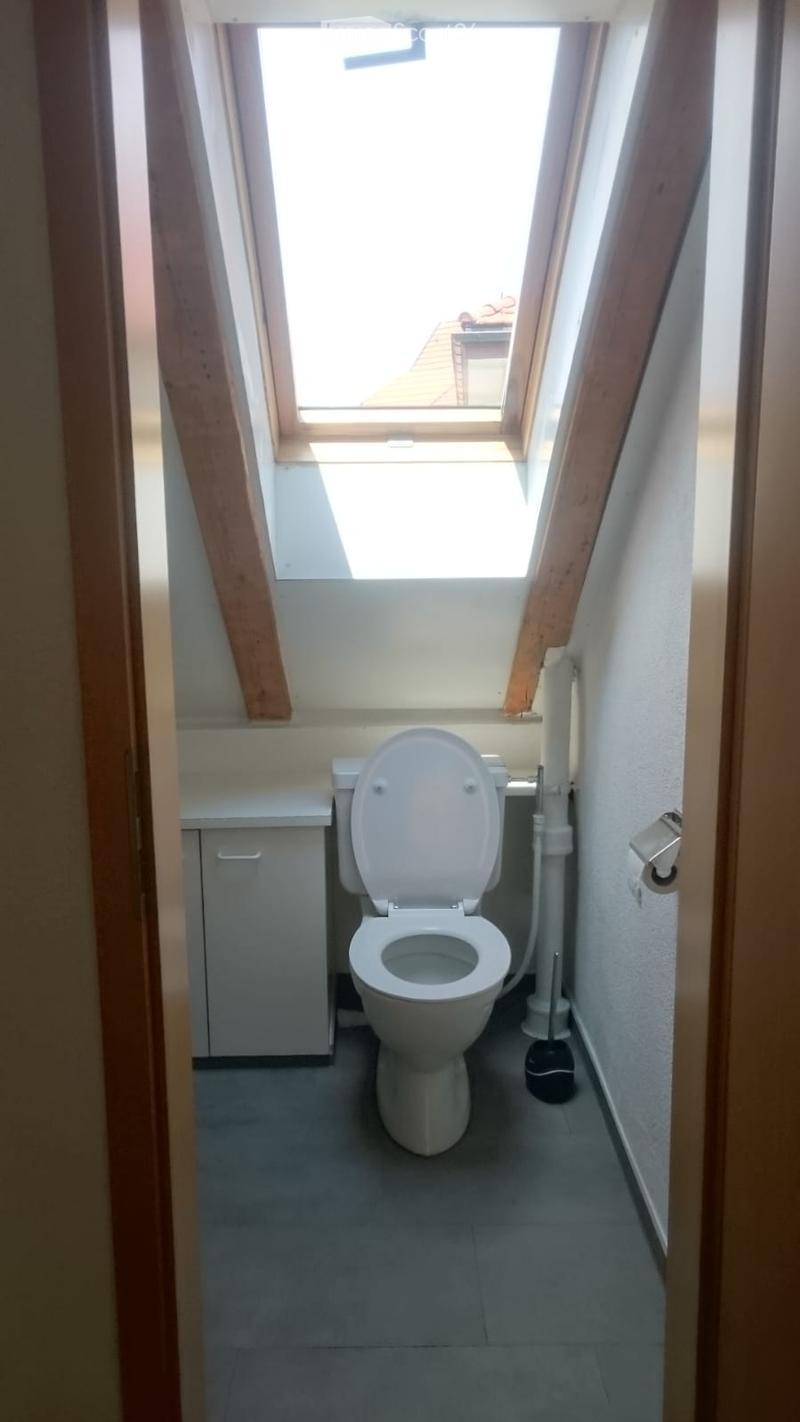 Small bathroom with a toilet, a small cabinet, and a toilet paper holder. The room has a skylight window and wooden beams on the ceiling.