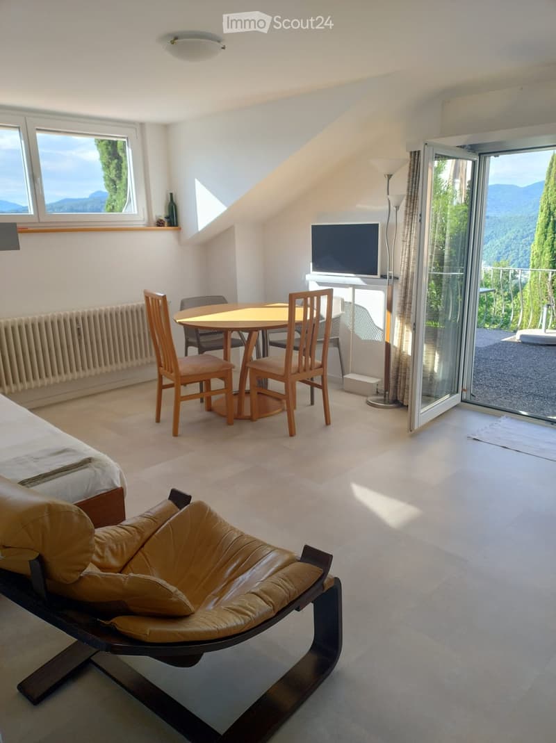 Bright, modern room with a view, featuring a sofa, a round table with chairs, a television, and a radiator.