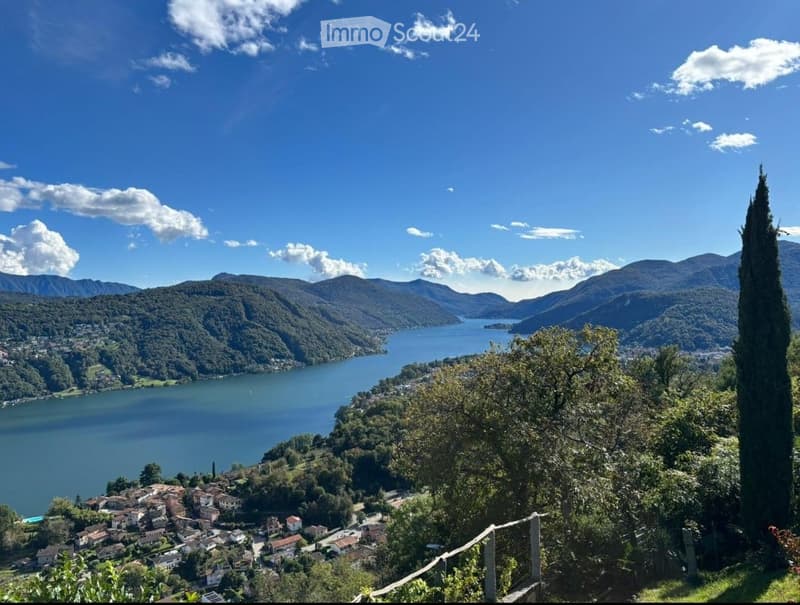 Panoramic view of a lake surrounded by mountains, with a small town visible on the shore and a tall cypress tree in the foreground.