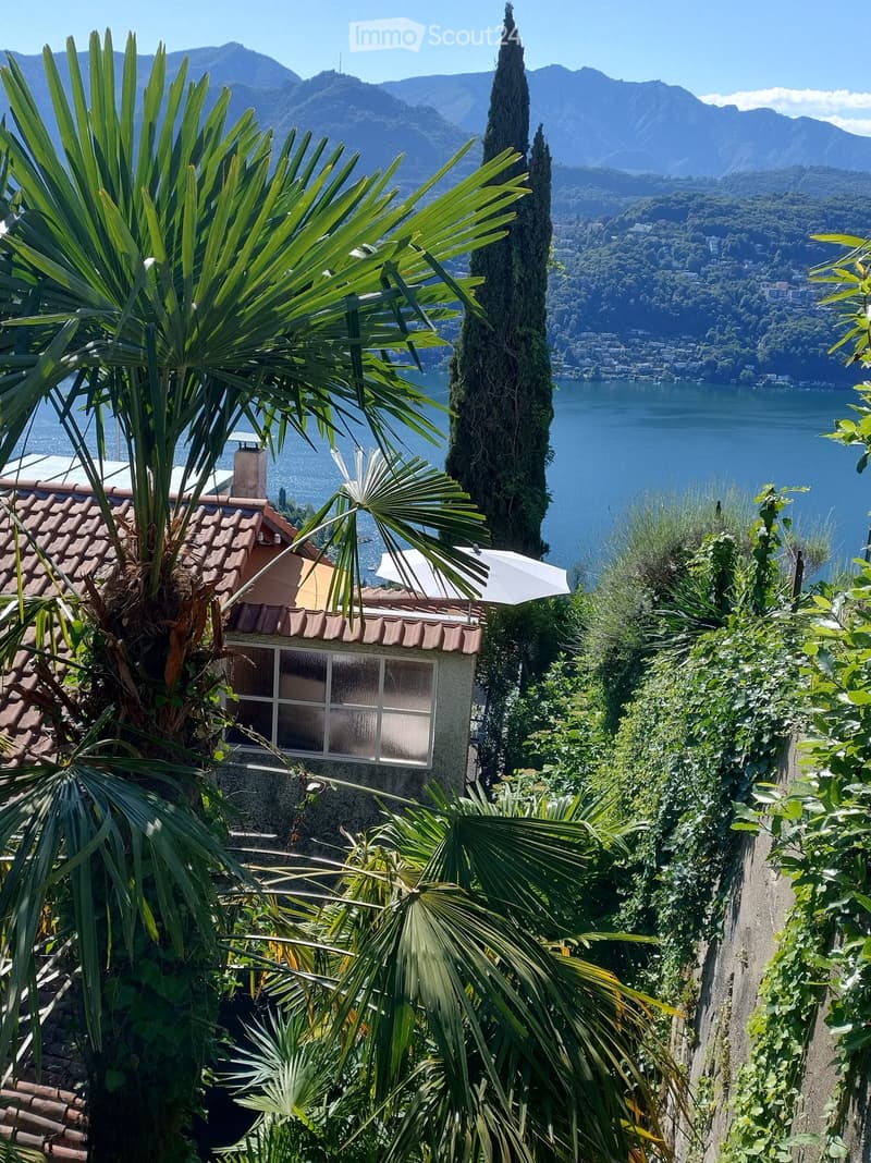 A lush garden with palm trees and a view of a lake and mountains in the background.