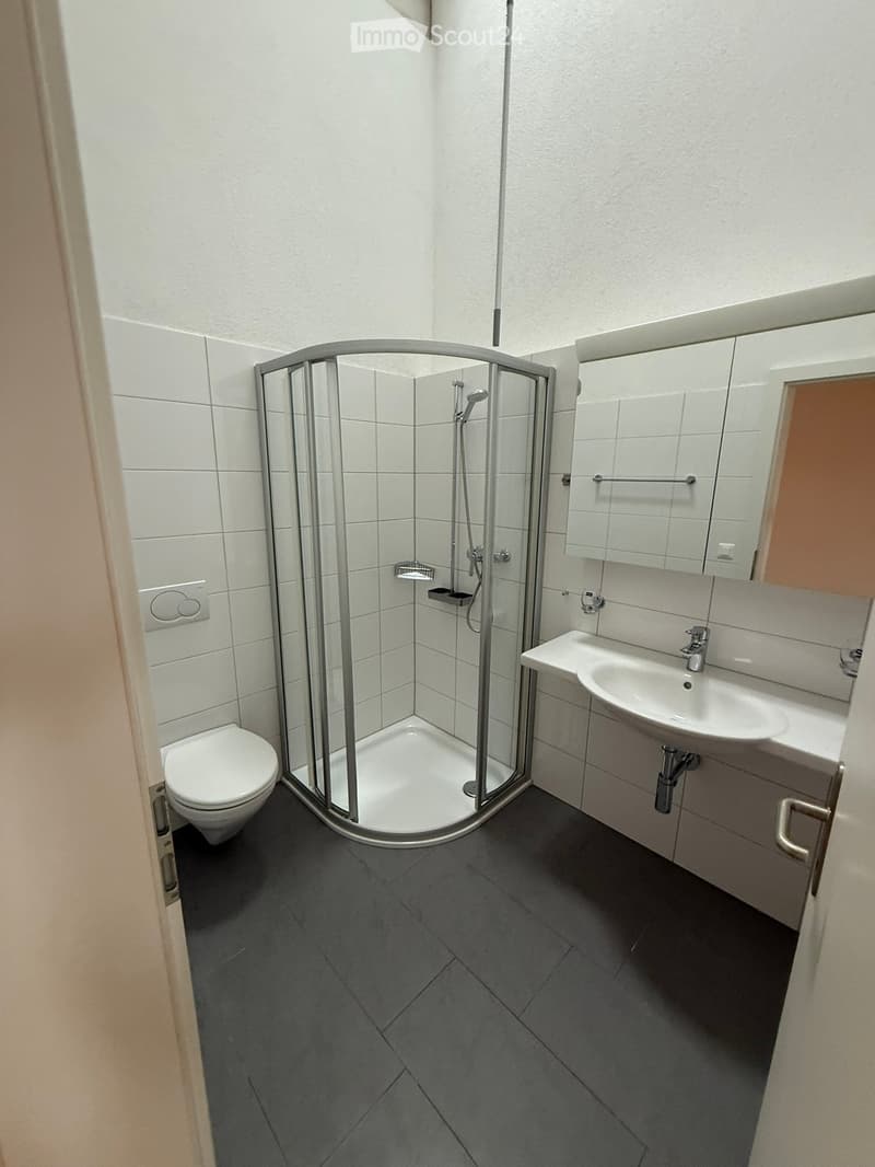 Modern bathroom with a corner shower, toilet, sink, and mirrored cabinet.