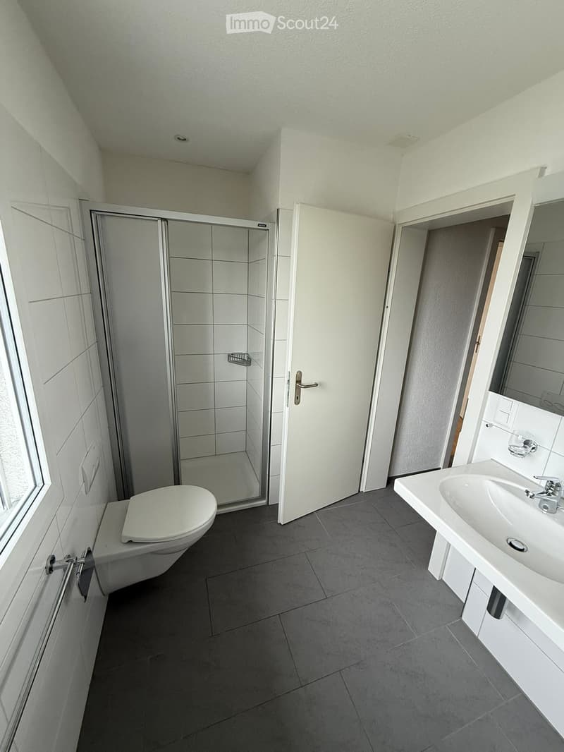 Modern bathroom with white tiles, a toilet, a sink, and a glass-enclosed shower. The room features grey tiled flooring and white walls.