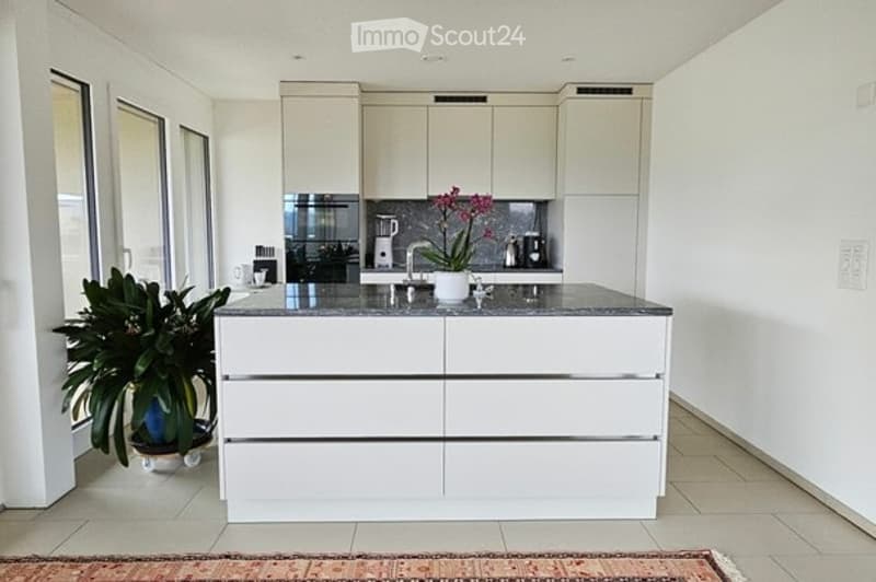 Modern kitchen with white cabinets, a central island, and a grey countertop. Features a sink with a faucet, a coffee maker, and a potted plant on the counter.