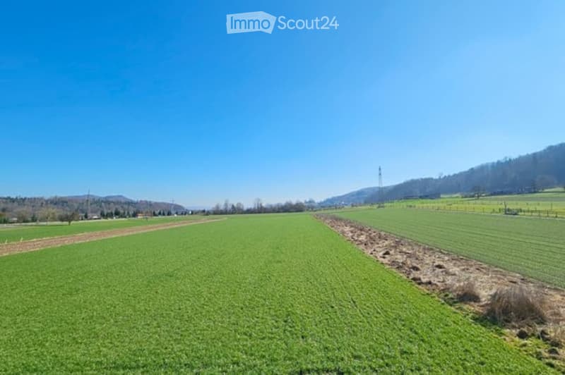 A wide, open field with lush green grass and cultivated rows, surrounded by distant hills and a clear blue sky.