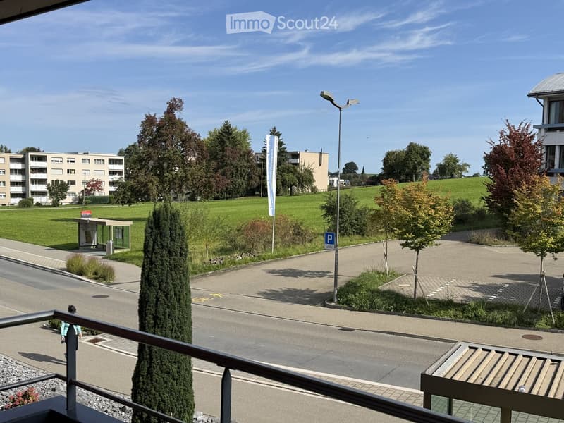Balcony with railings, view of a road, apartment building, meadow, trees, plants, street light, sign, parking sign, shelter, street