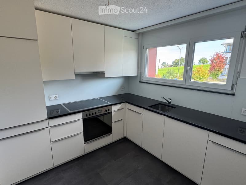 modern kitchen with white cabinets, black countertop, integrated oven and stove, stainless steel sink, view to the outside