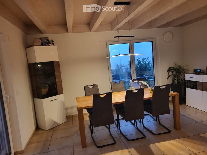Modern kitchen with a wooden dining table, six chairs, and built-in cabinets. Large windows provide natural light, and a potted plant adds a touch of greenery.