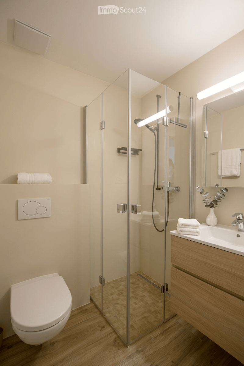 Modern bathroom with a glass-enclosed shower, toilet, sink with a mirror, and neatly folded towels on the counter.