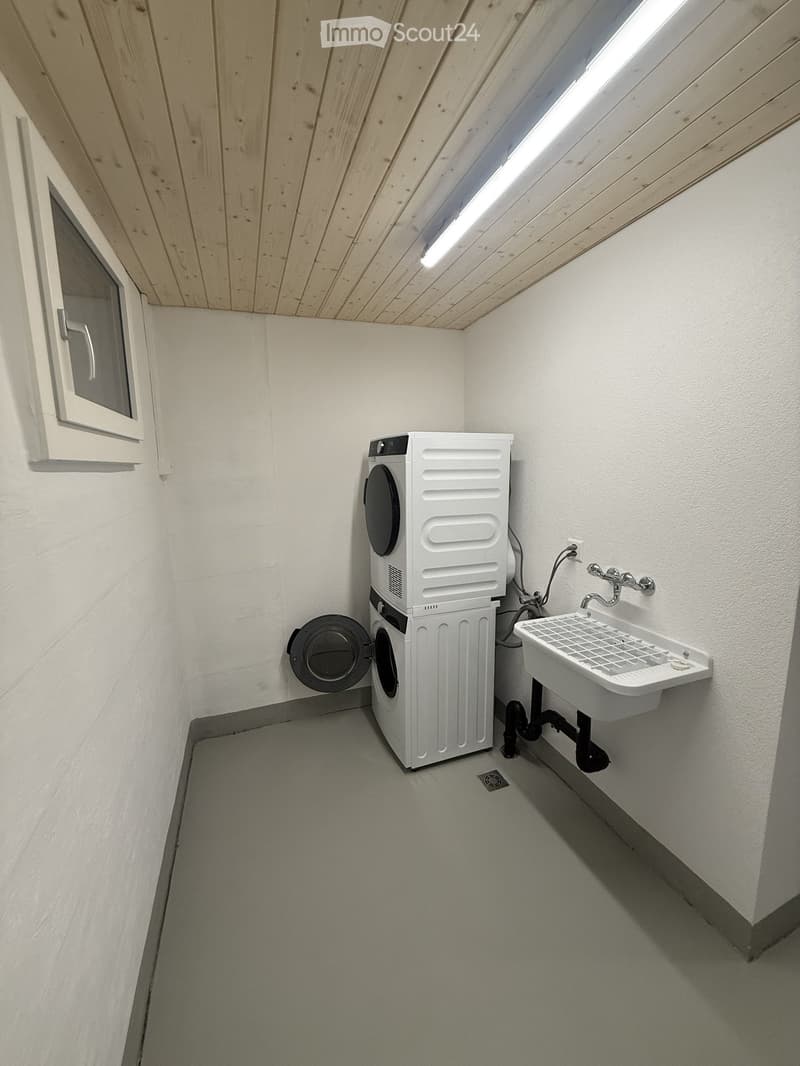 Compact bathroom with a white washing machine and a small sink, featuring a sloped wooden ceiling and a window.