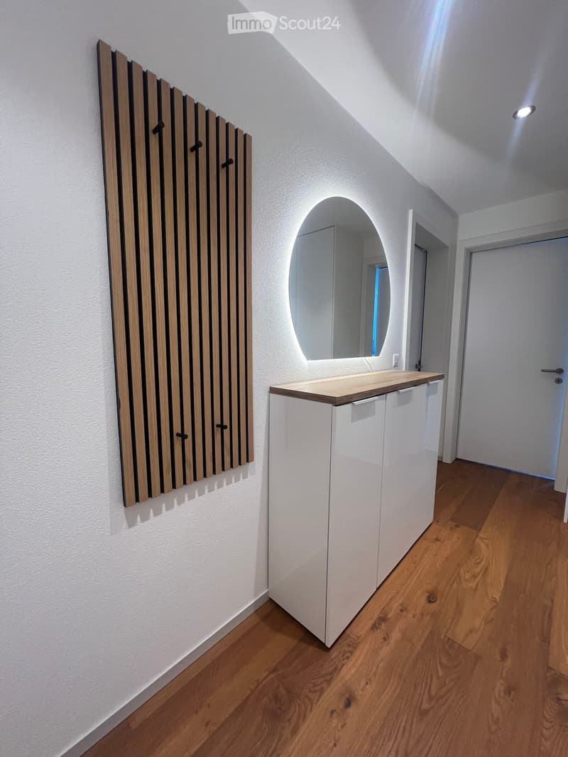 Modern hallway with wooden flooring, white walls, built-in storage unit, and a round mirror with LED lighting above it.