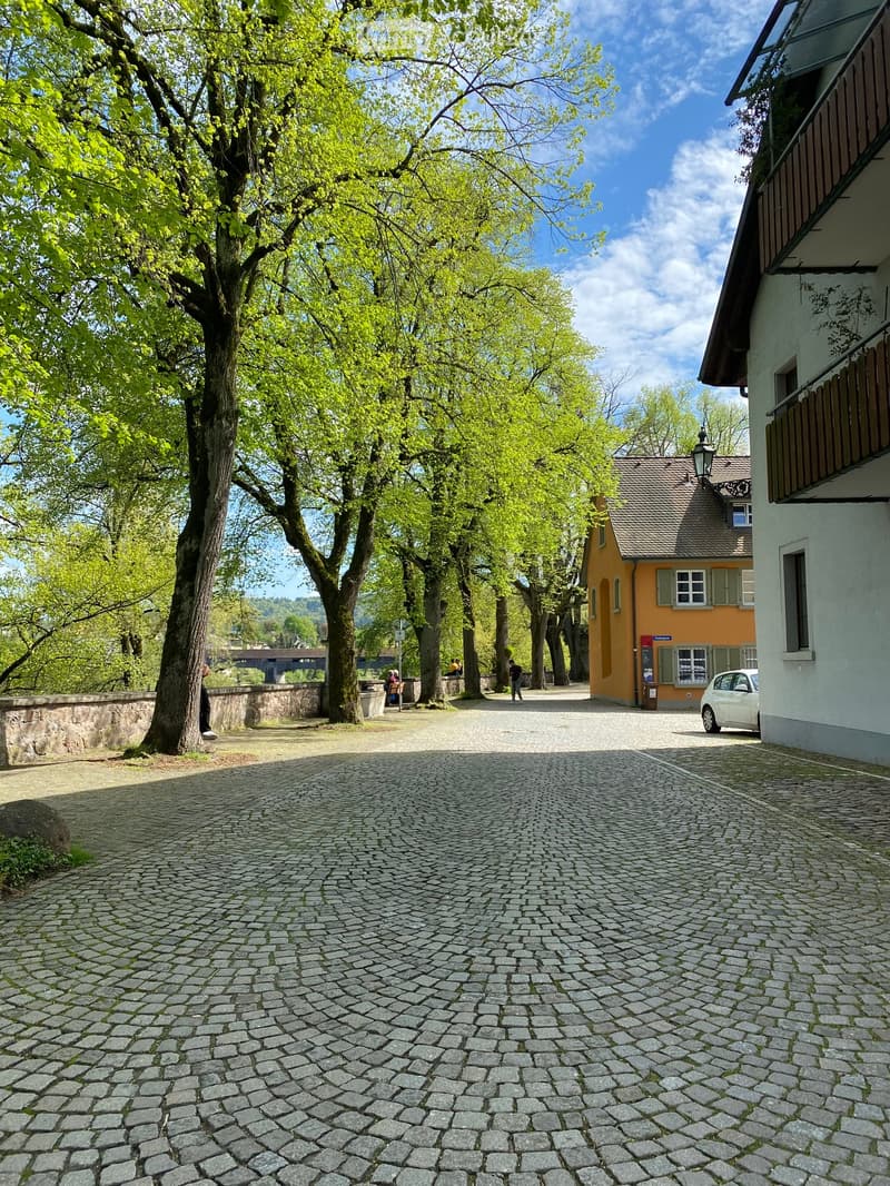 A cobblestone pathway lined with trees leads to a small yellow building with white-framed windows and a grey roof. A white car is parked near the building, and a few people are visible in the distance.