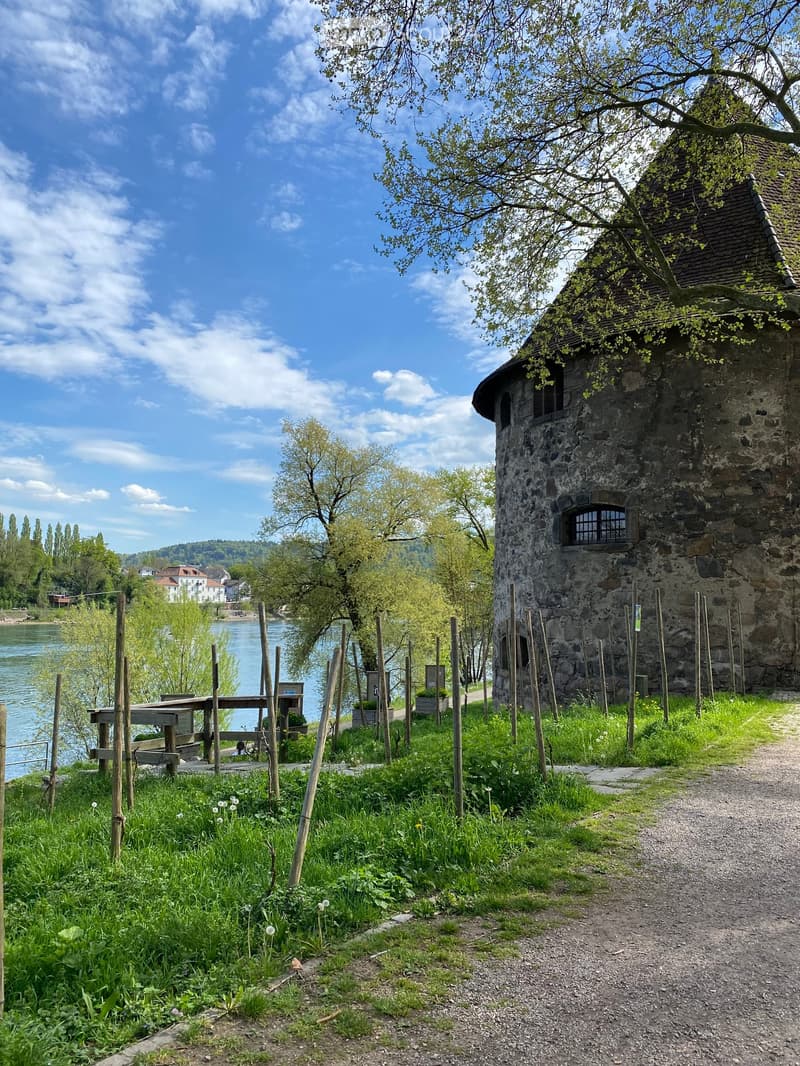 A serene garden area with a stone tower, a wooden bench, and a view of a river and distant hills.