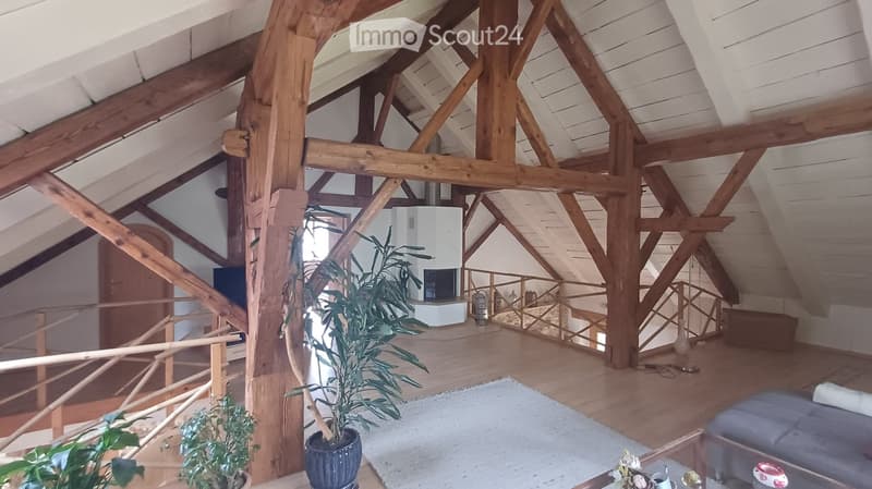 Loft-style living room with exposed wooden beams, fireplace, sofa, coffee table, potted plants, and decorative vase.