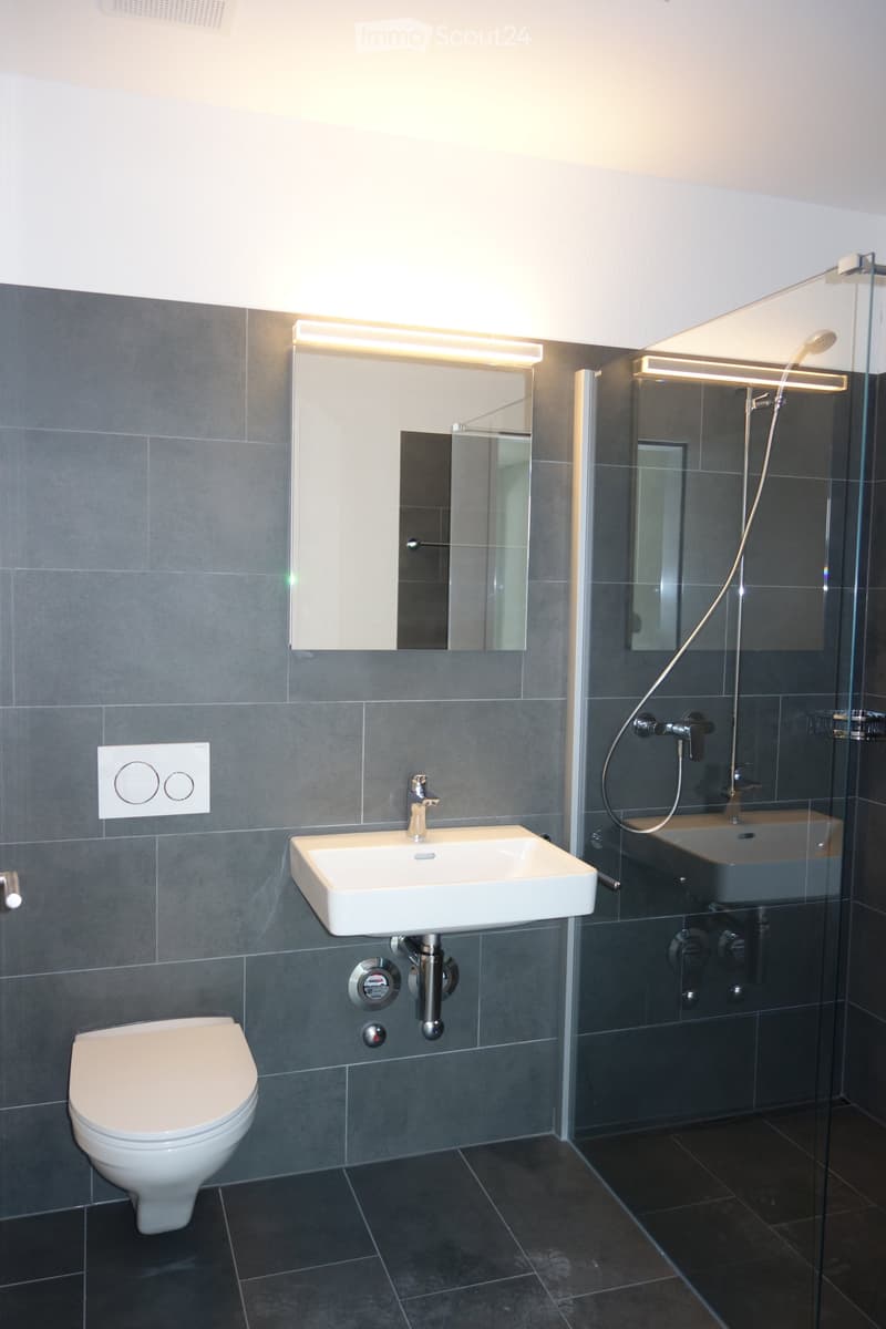 Modern bathroom with dark grey tiles, white toilet, sink, and mirror, glass-enclosed shower with modern fixtures.