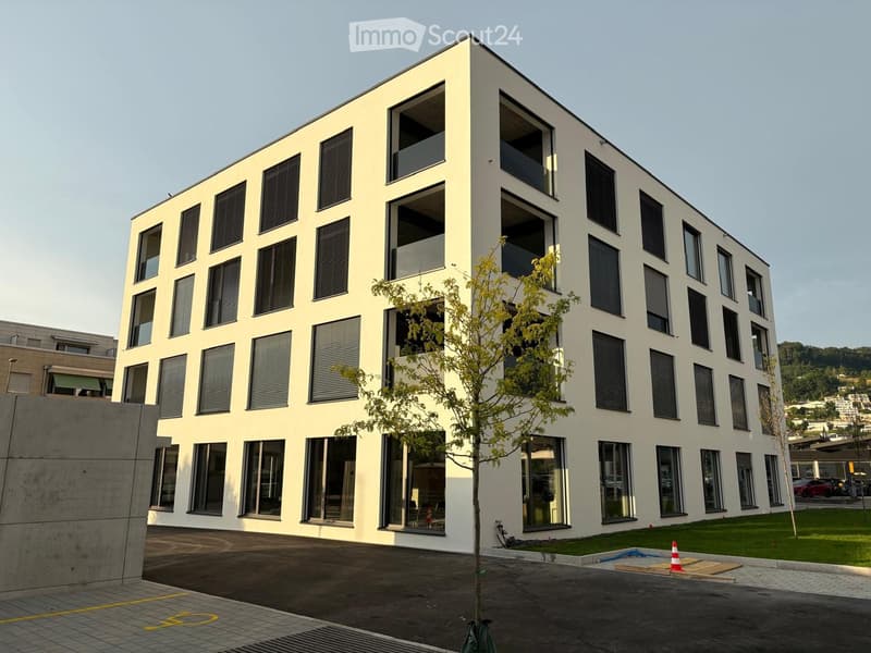 Modern multi-story building with white facade, large windows, and balconies. Features a small tree in front and a paved area with traffic cones.